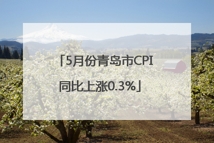 5月份青岛市CPI同比上涨0.3%